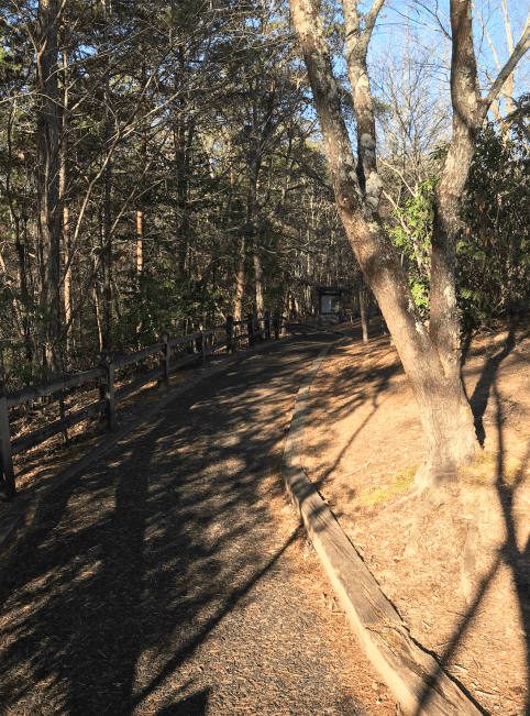 Screen Shot 2020-01-08 at 7.45.16 PM