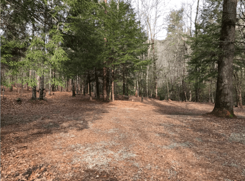 Screen Shot 2020-01-13 at 7.32.17 PM