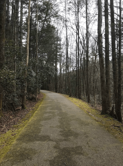 Screen Shot 2020-02-04 at 2.54.46 PM